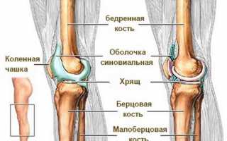 Жидкость в колене