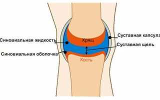 Суставная щель коленного сустава