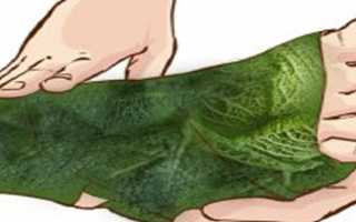 Капустный лист для лечения суставов