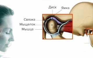 Сустав челюсти