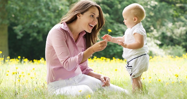 Какова норма содержания тромбоцитов в крови у детей и их роль в организме