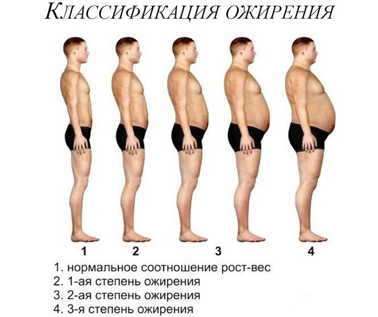 Обучающие картинки